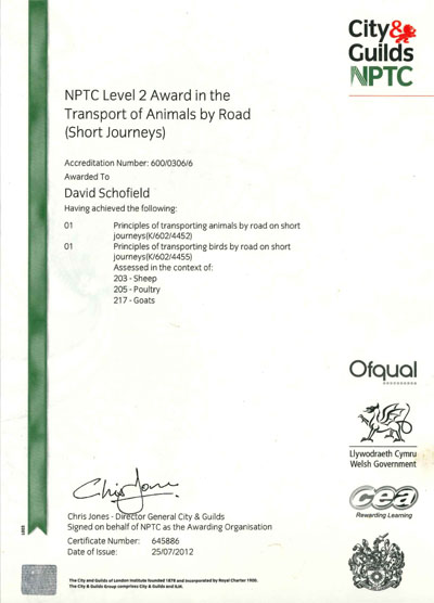 city & Guilds certificate